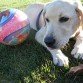 Lola después de un partido de fútbol